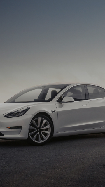 TeslaService